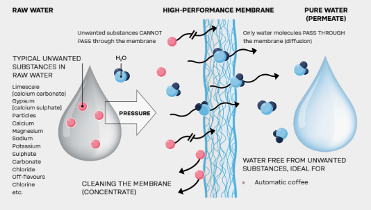 BWT bestaqua 12 ROC Reverse Osmosis System