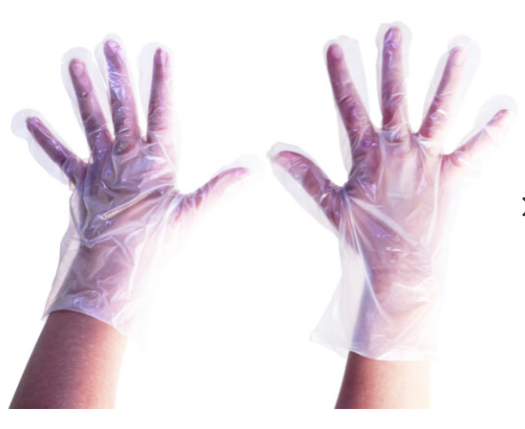 Cleanstar - Medium Size Compostable Disposable Gloves – 100 Gloves Per Box (24 Boxes) 1200 Pairs