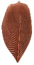 Trimmed Feathers – Natural Colours | 20g (Pack)