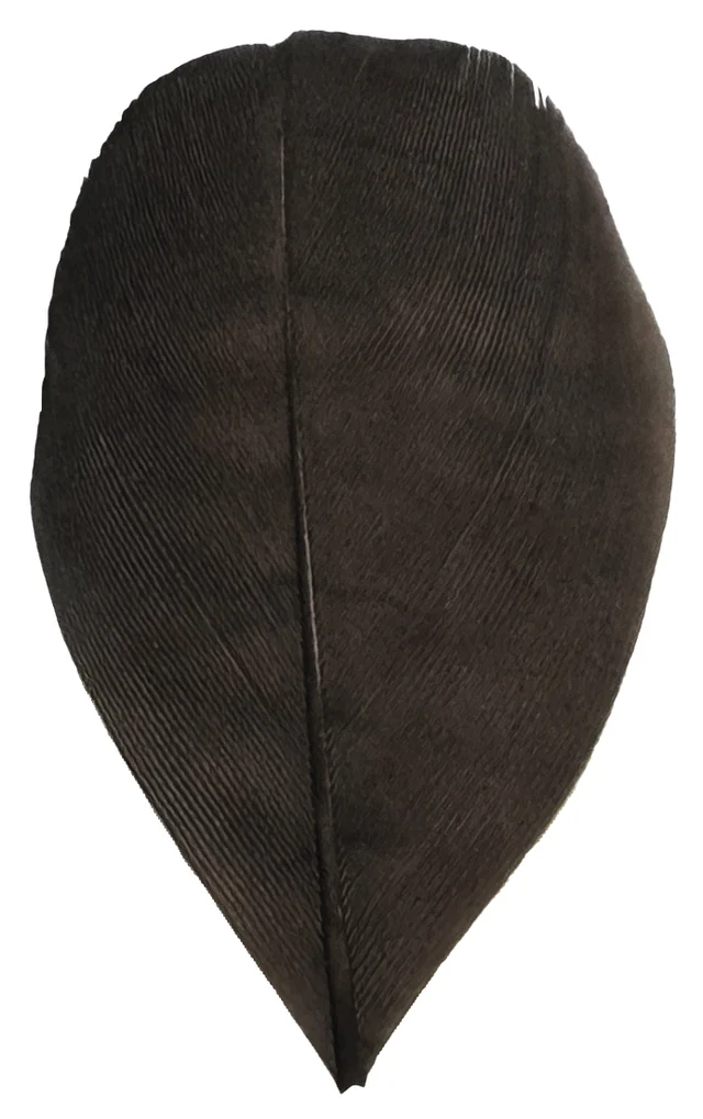 Trimmed Feathers – Natural Colours | 20g (Pack)