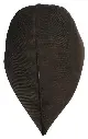 Trimmed Feathers – Natural Colours | 20g (Pack)