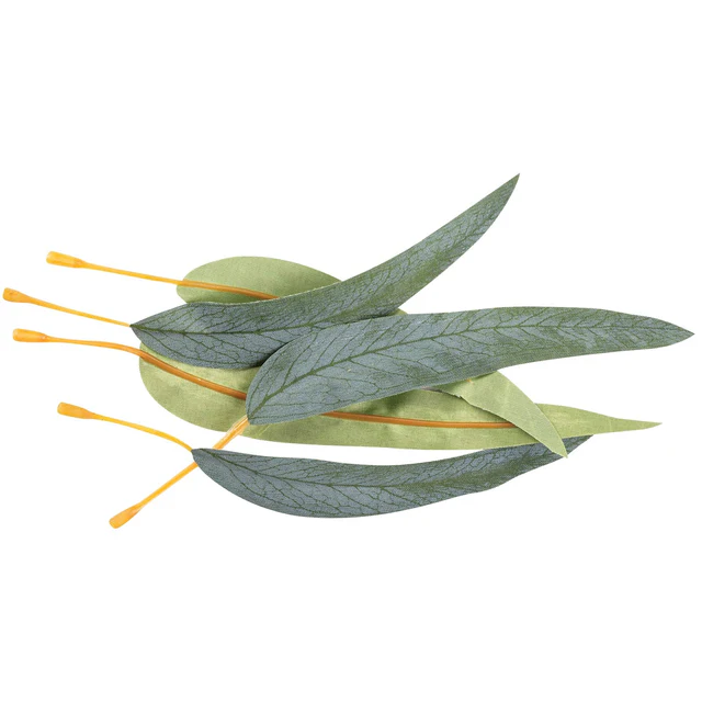 Gum Leaves | Pack of 50