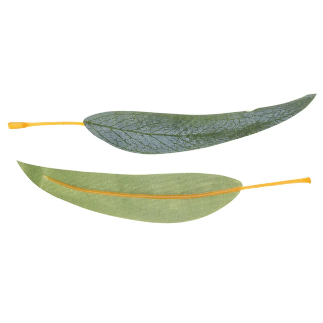 Gum Leaves | Pack of 50