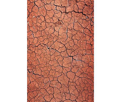Pattern Papers Environment | Pack of 40