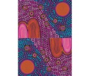 Naidoc
