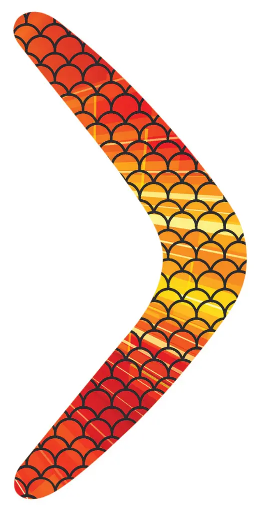 Naidoc