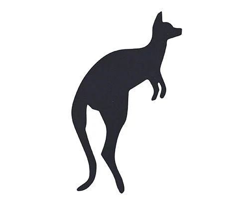 Title Scratch Australian Animals — Pack of 30