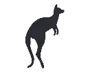 Title Scratch Australian Animals — Pack of 30