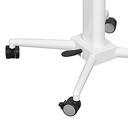 Height Adjustable Breakroom Table – Mobile Sit-to-Stand Collaboration Table