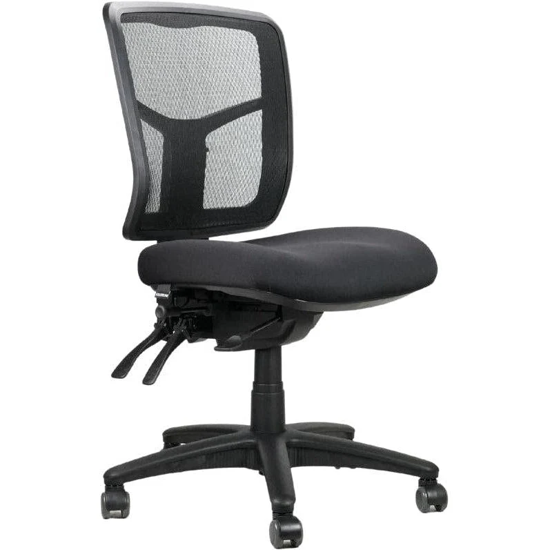 Rapidline Mirae Medium Back Mesh Chair (Black)