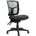 Rapidline Mirae Medium Back Mesh Chair (Black)