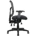 Rapidline Mirae Medium Back Mesh Chair (Black)