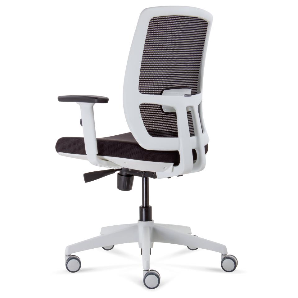 Luminous ProMesh Task Chair (Black/White)