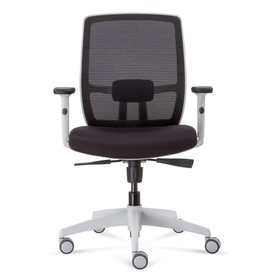 Luminous ProMesh Task Chair (Black/White)