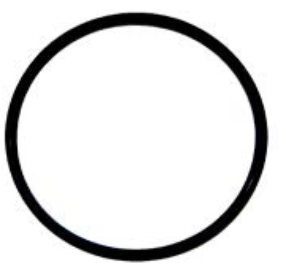 Cleanstar-O-Ring For Cleanstar Butler