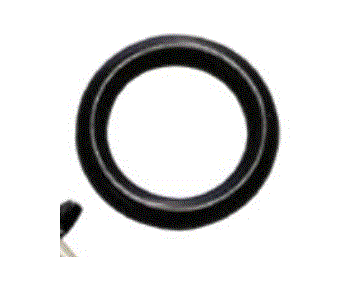 Cleanstar- O' Ring For Want For Cutlass