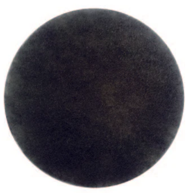 CLEANSTAR- PRE-MOTOR FILTER-VC10LP