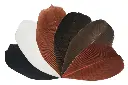 Trimmed Feathers – Natural Colours | 20g (Pack)