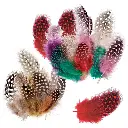 Guinea Fowl Feathers 10g — Pack of 100