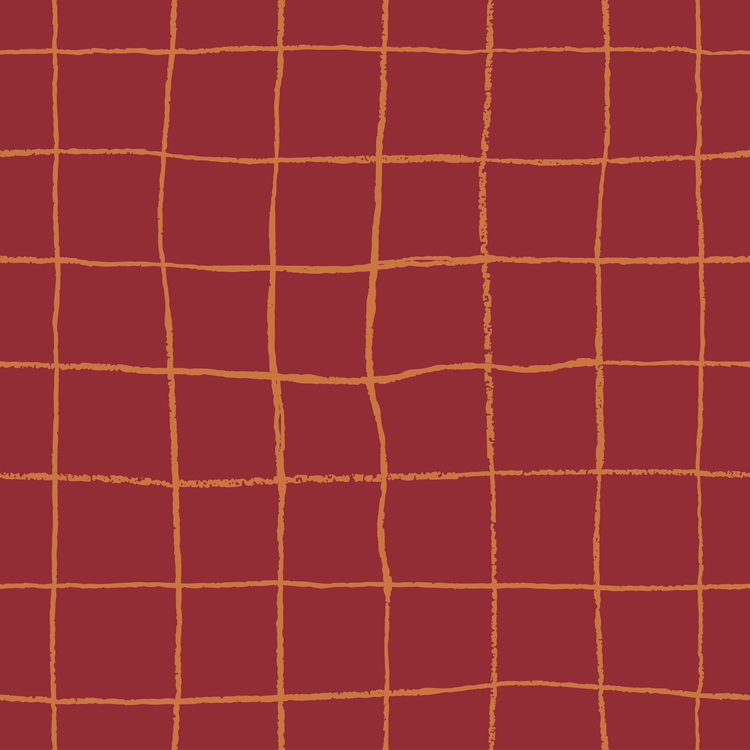 Gathering Nets - 002 – Dreamweave Aboriginal Fabric
