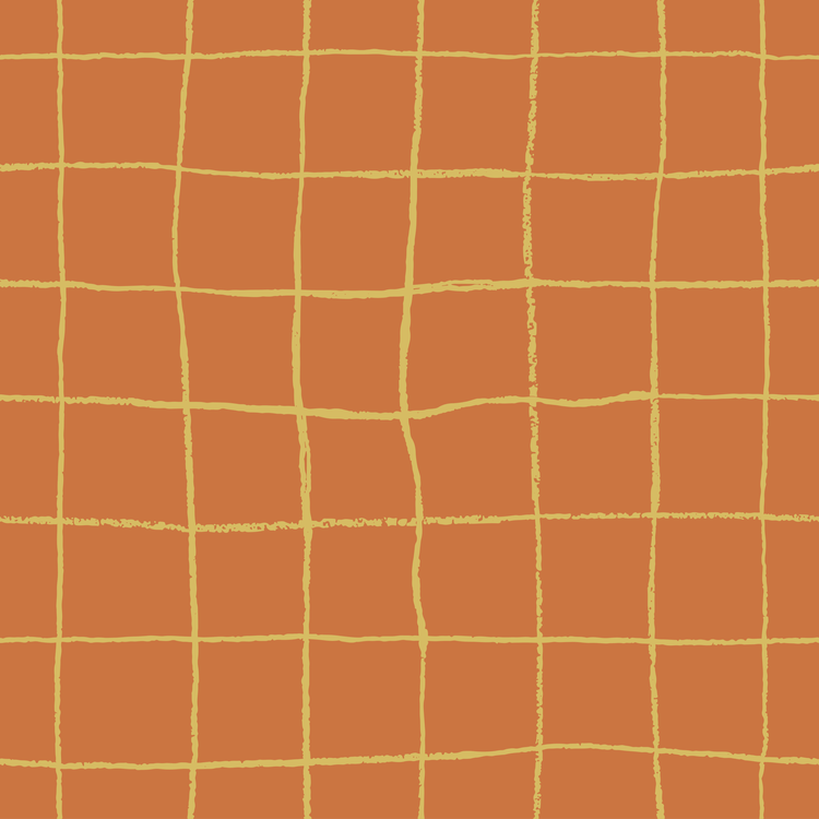 Gathering Nets - 003 – Dreamweave Aboriginal Fabric