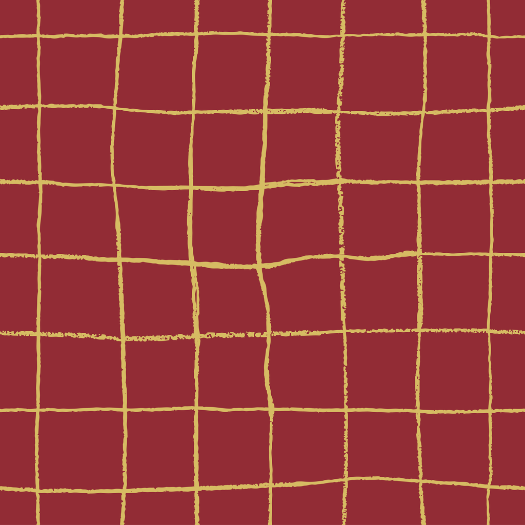 Gathering Nets - 005 – Dreamweave Aboriginal Fabric