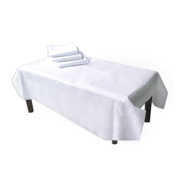 Bed Sheet- Disposable 75 X 200cm 10 Per Pack, 50 Per Carton