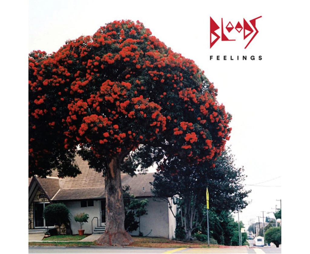 THE BLOODS - FEELINGS [COMPACT DISCS] USA IMPORT