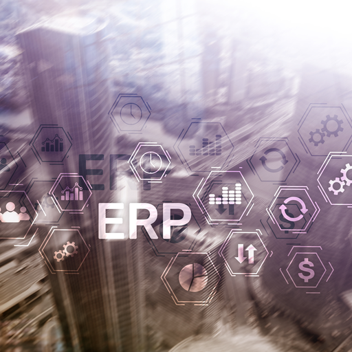 ERP - HR & Timesheets Module