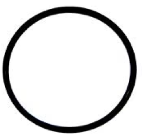 [VBUT-8] Cleanstar-O-Ring For Cleanstar Butler