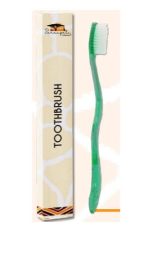 [CTOOTH] Cleanstar - Toothbrush - 250pk