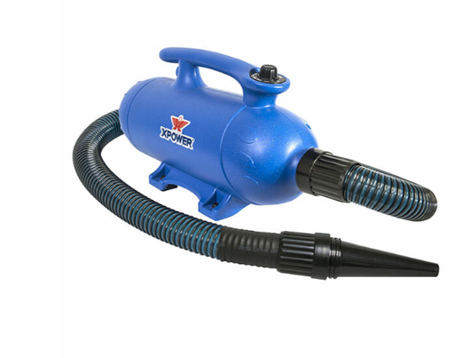 [B-27] Cleanstar - Dual Brushed Motor Pet Dryer