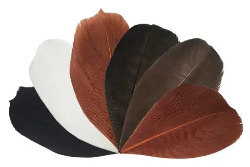 [FTZ209] Trimmed Feathers – Natural Colours | 20g (Pack)