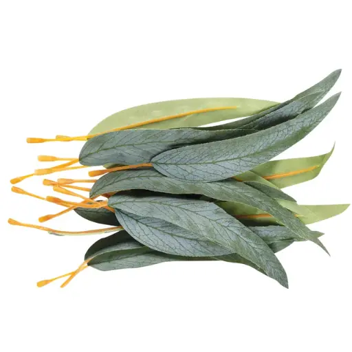 [LEZ032] Gum Leaves | Pack of 50
