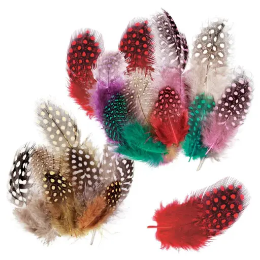 [FT200-AS] Guinea Fowl Feathers 10g — Pack of 100