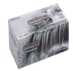 [6200] Rosche 2 Ply Facial Tissue 200's