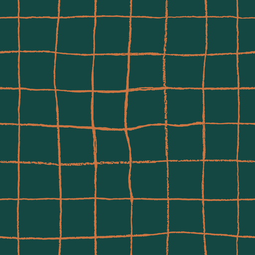 Gathering Nets - 006 – Dreamweave Aboriginal Fabric