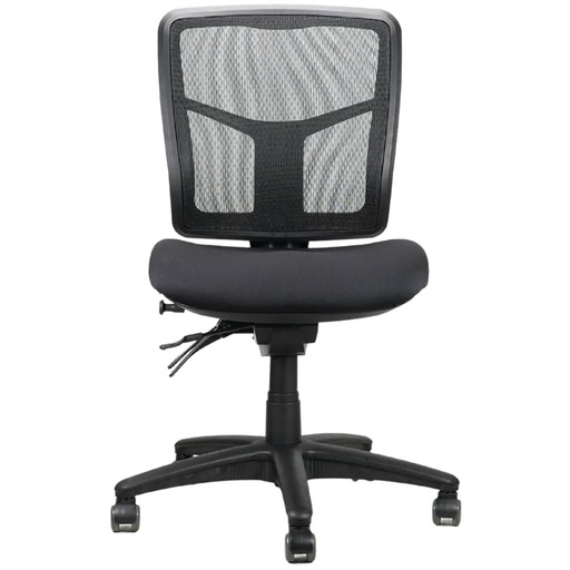 Rapidline Mirae Medium Back Mesh Chair (Black)